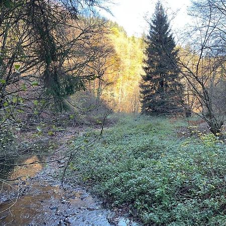 Ferienwohnung Sofie Mastershausen Esterno foto